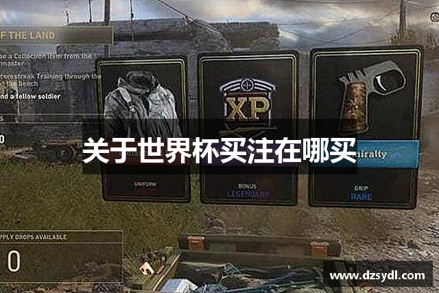 关于世界杯买注在哪买
